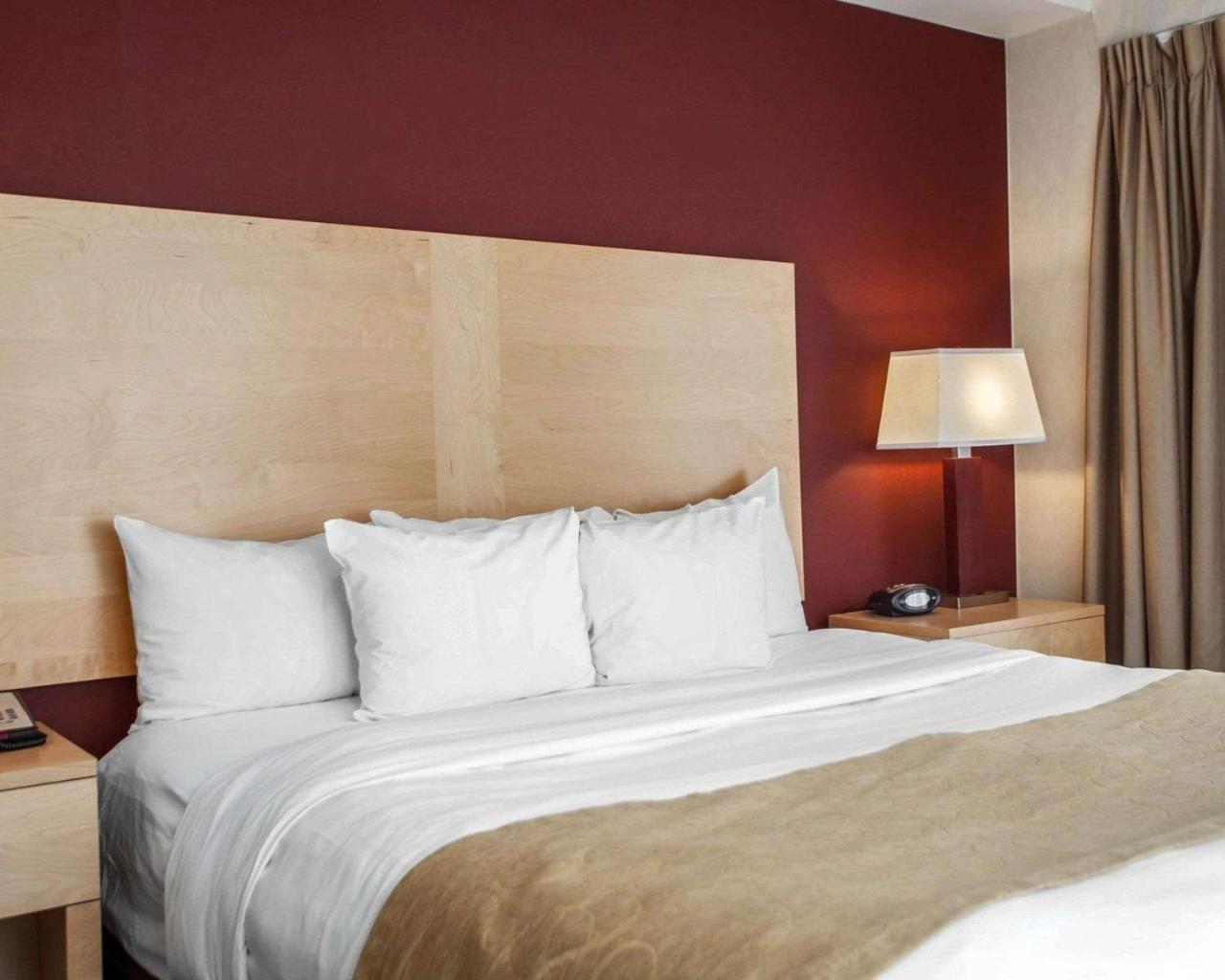 Comfort Suites Michigan Avenue Chicago Zewnętrze zdjęcie