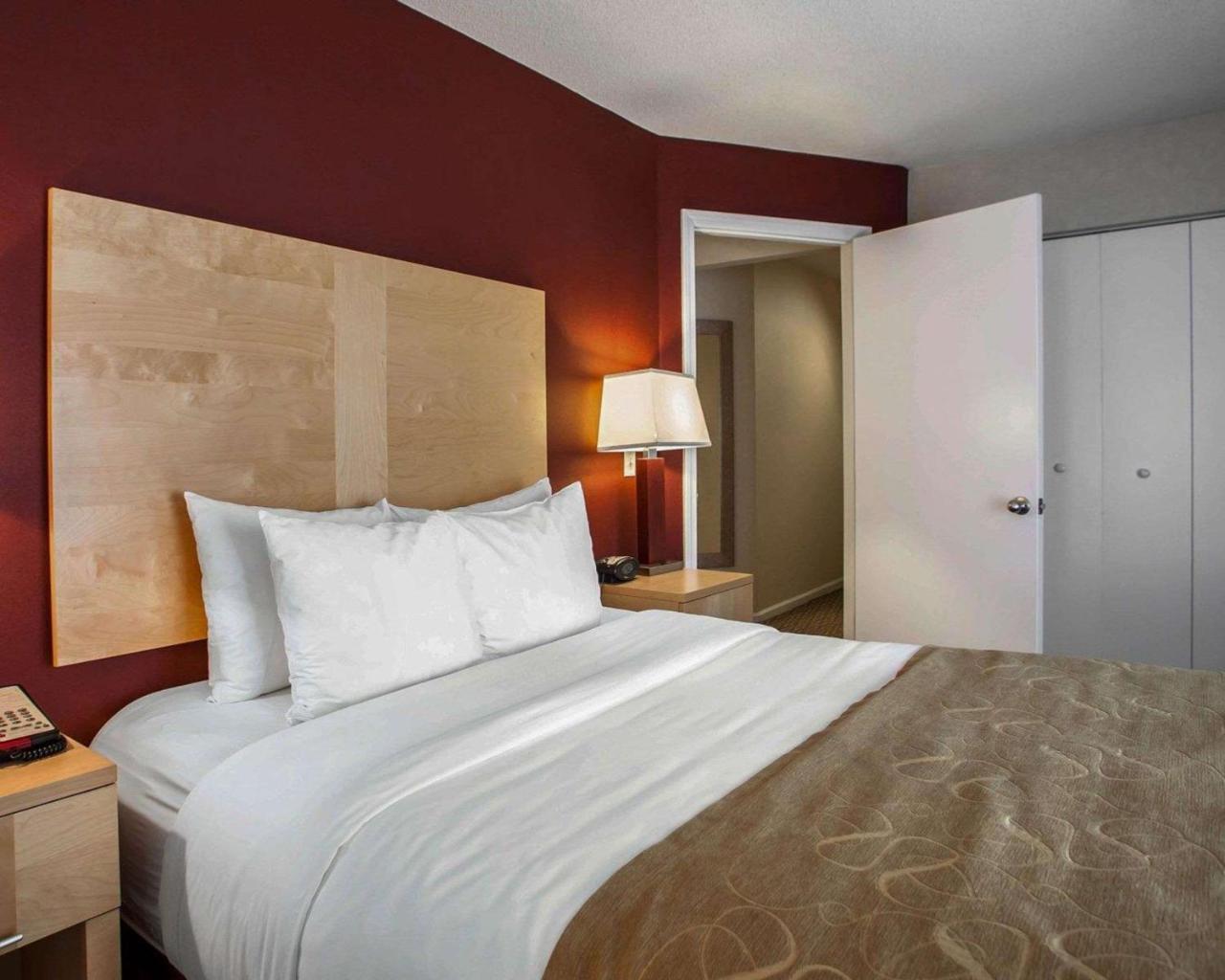 Comfort Suites Michigan Avenue Chicago Zewnętrze zdjęcie