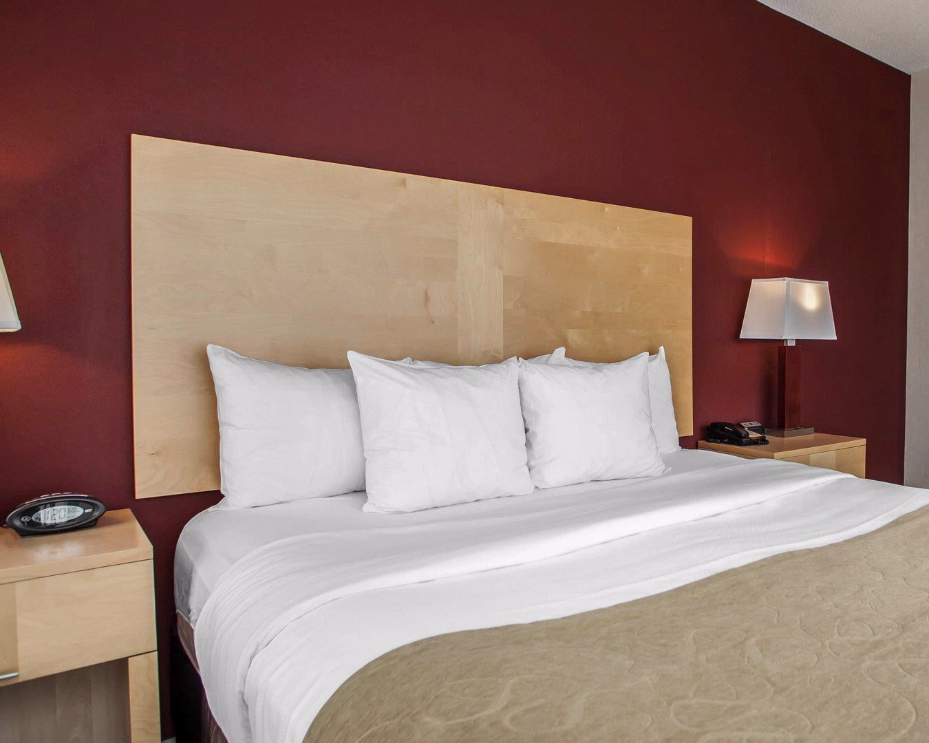 Comfort Suites Michigan Avenue Chicago Zewnętrze zdjęcie